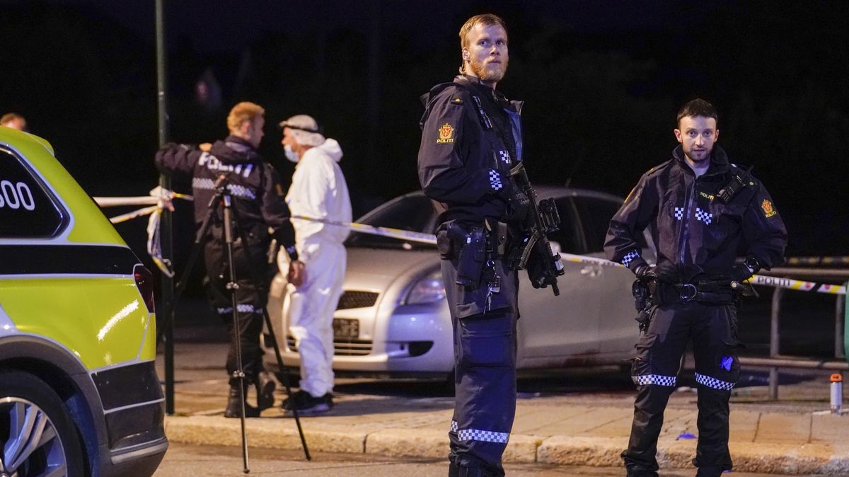 Muž ozbrojený lukem a šípy zabil v norském městě pět lidí